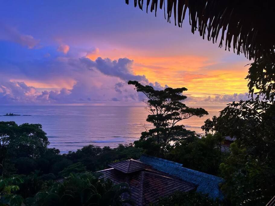 Villa Amor Del Mar With Breathtaking View Of Ocean & Jungle Доминикаль Экстерьер фото